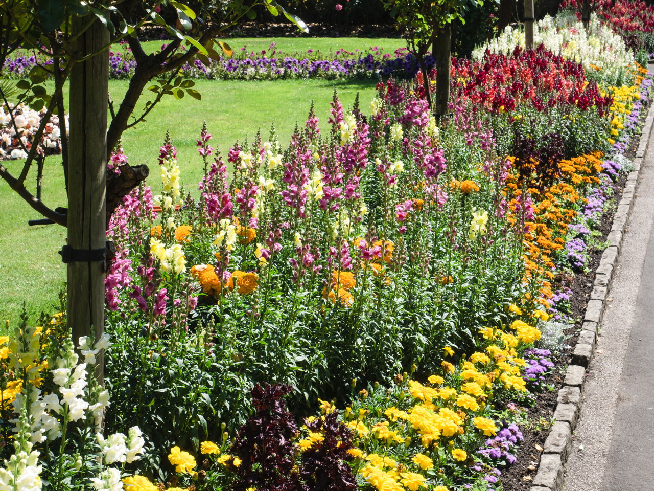 Flower Bed