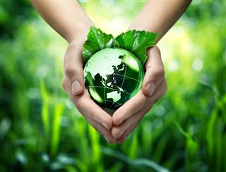 Ecological Concept
