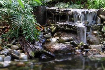 Water bodies in a garden