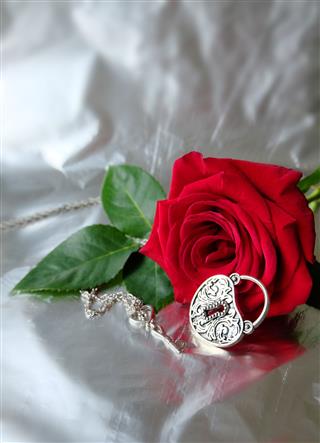 Rose Lock Key