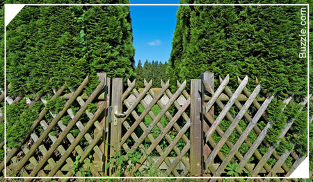 Lattice Wooden fence
