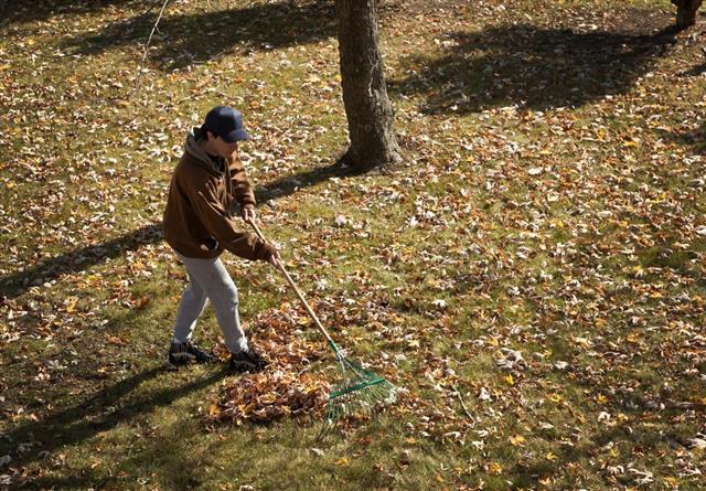 Man Raking Leaves