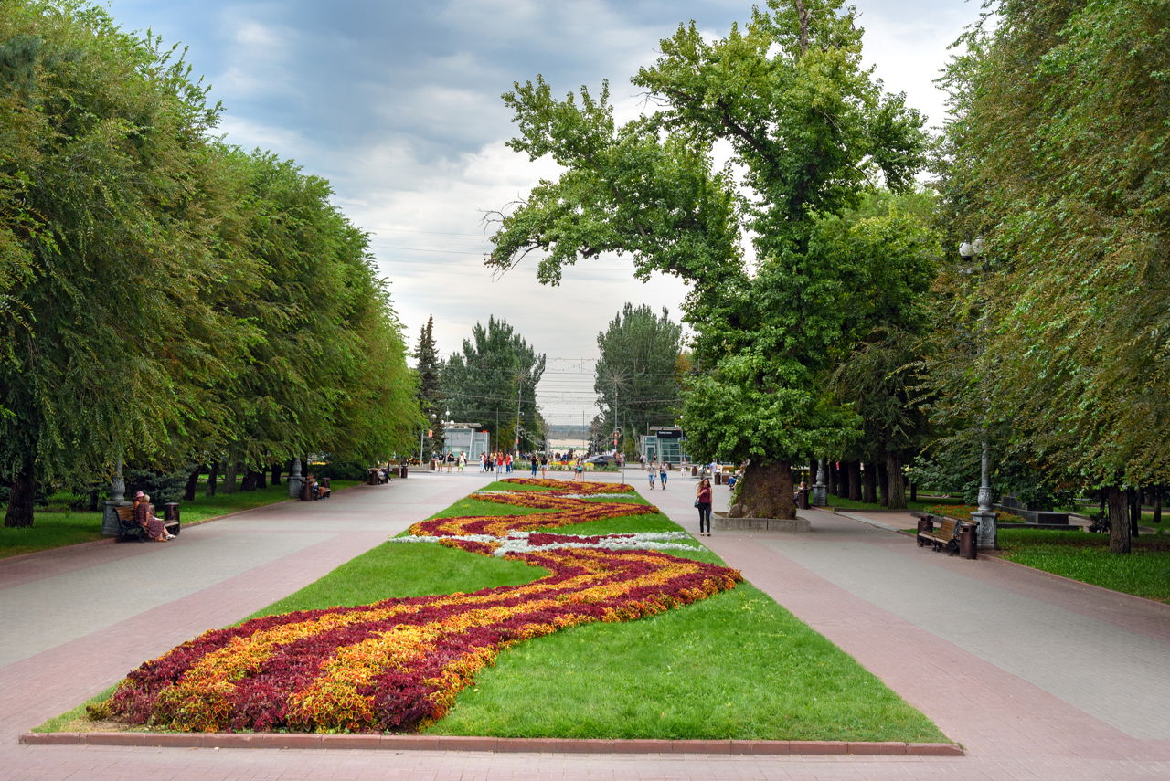 Flower Bed