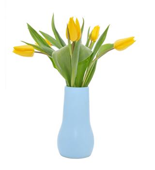 Tulips In Vase