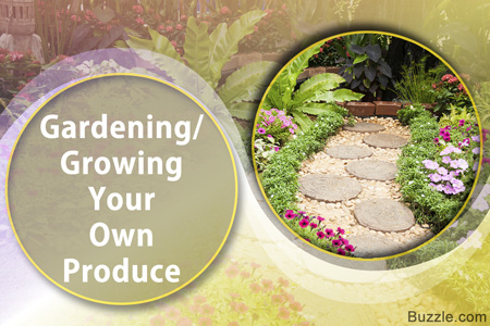 Lawn And Flowerbed