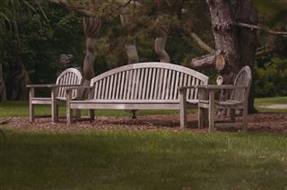 Wood Material Chairs