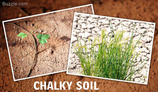 Chalky Soil
