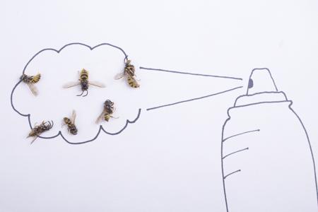Pest Spray for Wasps