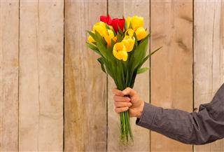 Bunch Of Tulips