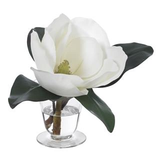 Magnolia Blossom