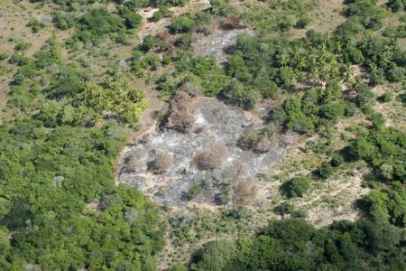 Slash and burn