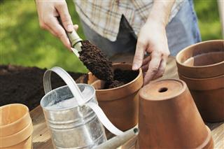 Man Potting Plant