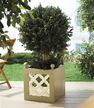 Planter Box