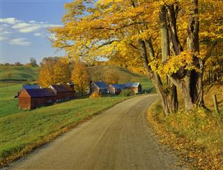 Dirt Vermont Road During Autumn