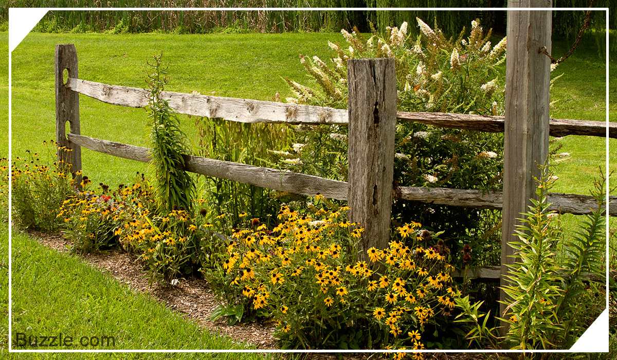 Split rail fence