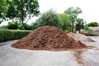 Pine Bark Mulch