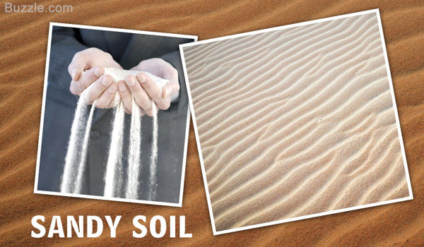 Sand background texture