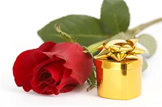 Jewelry And Red Rose