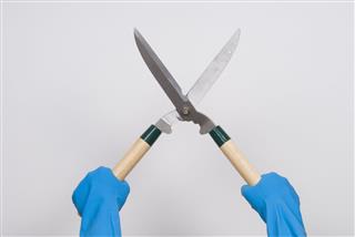 Garden Shears