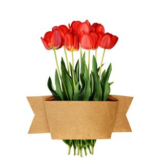 Tulip Flowers Bouquet And Craft Ribbon