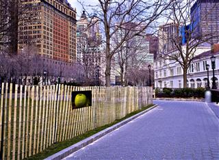 The Big Apple