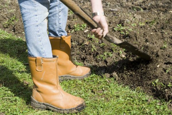 Man Digging the garden