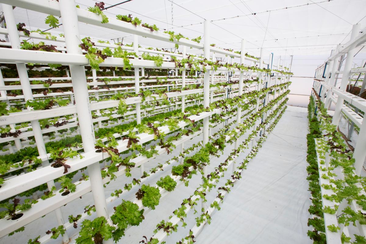 Vertical farming