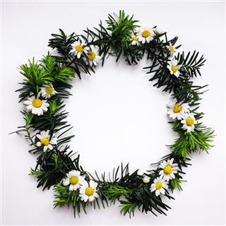 Frame Of Green Branches And Flowers
