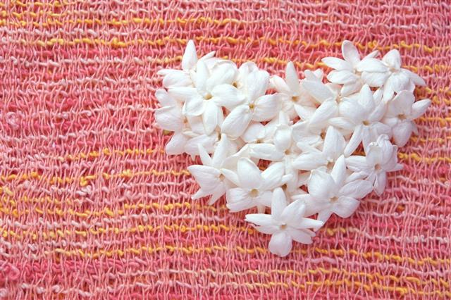 Jasmine Flower