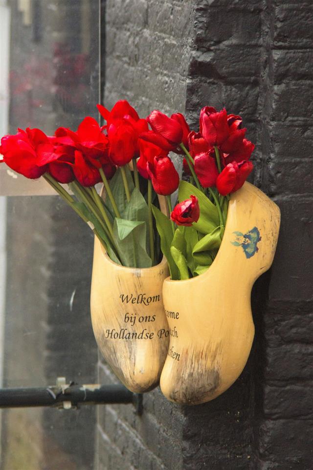 Tulips From Amsterdam