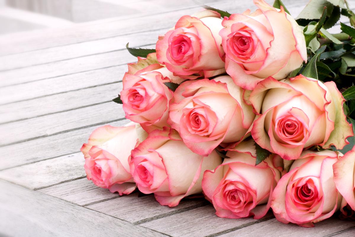 Bouquet of pink roses