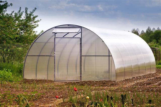 Small Greenhouse In The Garden