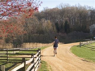 The Runner