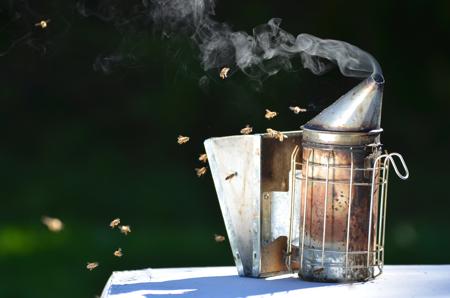 Apiary smoker