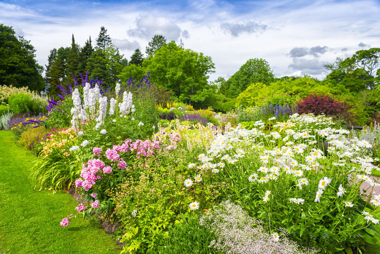 Garden Flower Beds