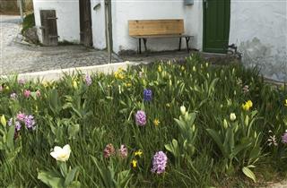 Bauerngarten
