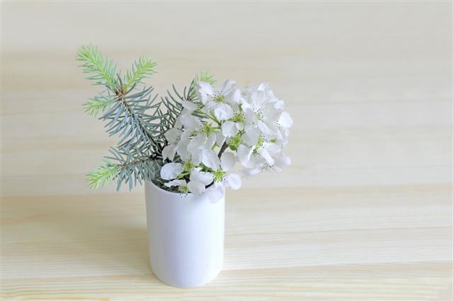 Blossoms And Spruce In A Vase