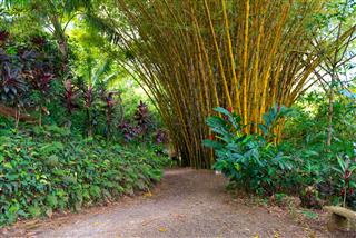 Garden Path
