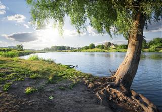 View on river