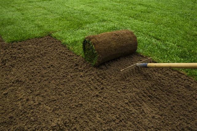 Lawn garden