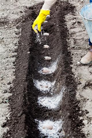 Farmer Brings Organic Fertilizer