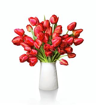 Bouquet Of Red Tulips In Vase