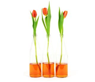 Three Tulips