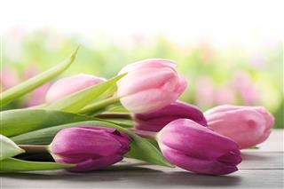 Bouquet Of Tulips On Table