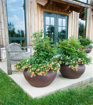 planter in Patio