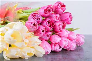 Tulips Bouquets On The Table