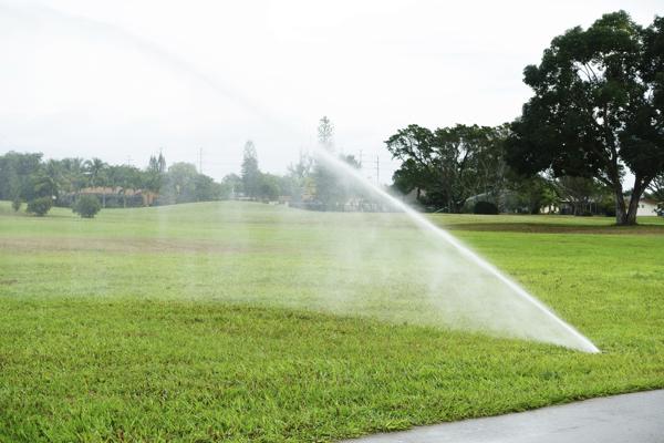 Lawn watering