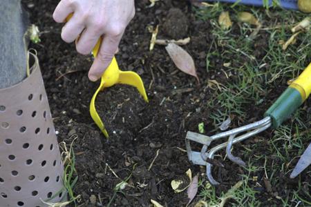 weeding before planting