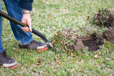 digging in the yard