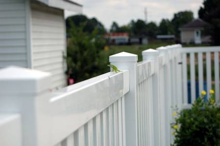 Vinyl Privacy Fence